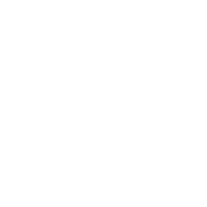 Softvize.com Circle Logo