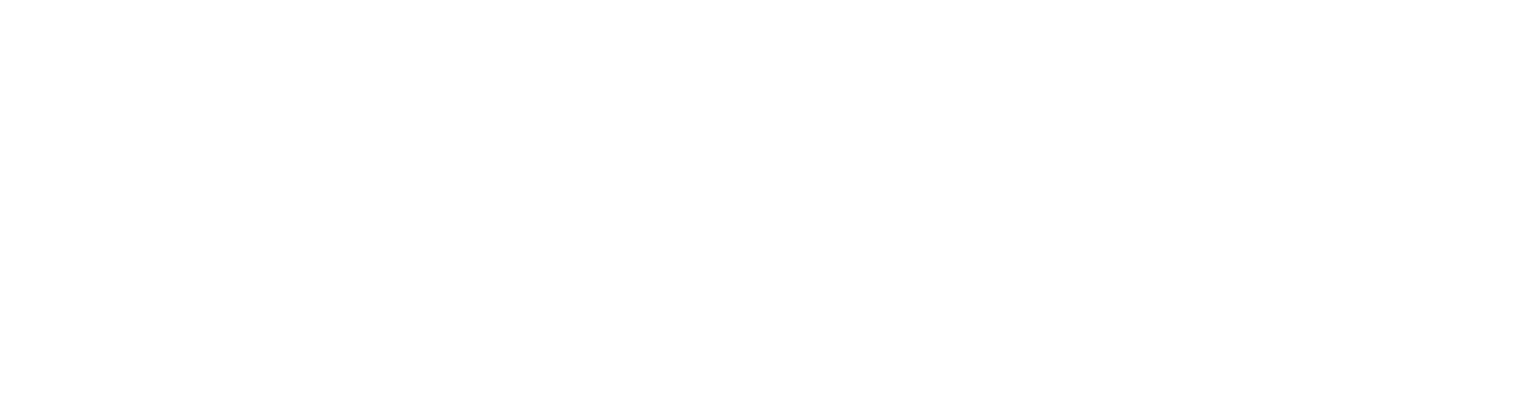 Softvize.com Logo